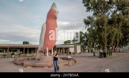 KIMBA, AUSTRALIEN - 20. MAI 2021: Weitaufnahme eines Touristen, der ein Selfie vor der großen Galah macht Stockfoto