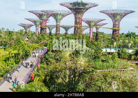 Singapur, Gardens by the Bay Naturpark, Supertrees Supertree Grove erhöhter Gehweg Stockfoto