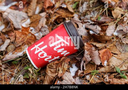 Tim Hortons entsorgte Papierbecher. Quebec, Kanada Stockfoto