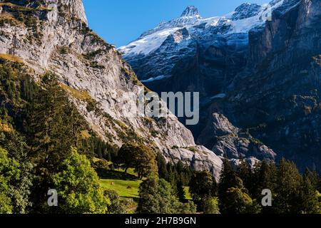 Majestätische Panoramaausblicke von verschneiten Gletschern bis hin zu Kühen, die auf grünen Weiden unter dem Wetterhorn in Grindelwald, Schweiz, im Berner Oberland weiden Stockfoto