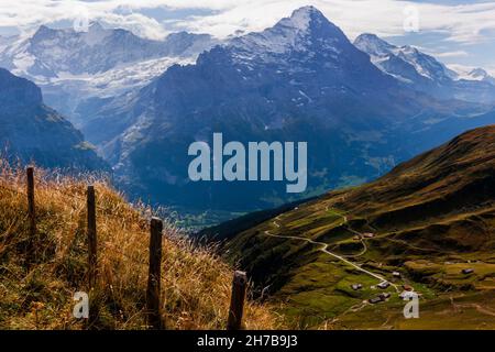 Eiger im Berner Oberland der Schweizer Alpen und Herbstgräser mit einem im Sonnenlicht reflektierenden Bergbach über Grindelwald. Stockfoto