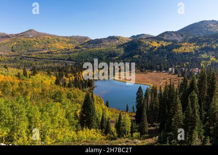 Quaking Aspen und Silver Lake im Herbst, Big Cottonwood Canyon, Wasatch Mountains, Utah Stockfoto