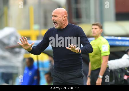 Salerno, Italien. 21st. November 2021. (11/21/2021) Stefano Colantuono (US Salernitana) gestikuliert die Serie Ein Spiel zwischen US Salernitana 1919 und UC Sampdoria im Stadio Arechi Endstand: 0-2 (Foto von Agostino Gemito/Pacific Press/Sipa USA) Kredit: SIPA USA/Alamy Live News Stockfoto