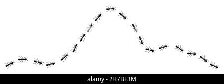 Trail-Kurve der MitarbeiterAmeisen. ANT-Pfad auf weißem Hintergrund isoliert. Vektorgrafik Stock Vektor