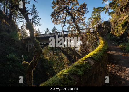 Shepperds Dell Falls Bridge Trail Geländer sind mit Moos bedeckt. Historischer Columbia River Highway in der Nähe von Corbett, Oregon Stockfoto