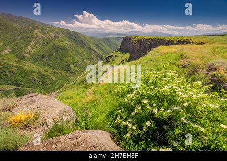 Malerischer Aussichtspunkt auf dem Debed Canyon und eine tiefe Schlucht im Armenischen Hochland in der Provinz Lori. Stockfoto