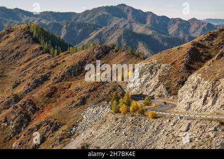 Malerischer Herbstblick auf eine kurvenreiche Asphaltstraße durch den Pass, Teil eines Bergserpentins, Felsen, Auto und goldene Bäume. Altai, Russland Stockfoto