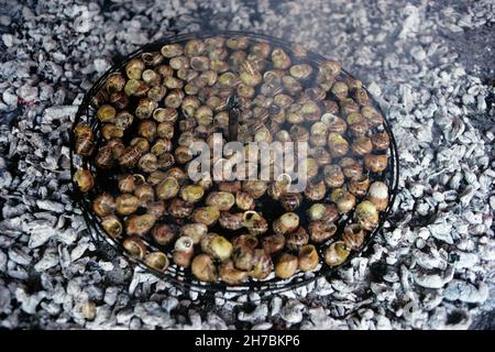 FRANKREICH. PYRENEES ORIENTALES (66). DIE ASPRES. CASTELNOU. DIE CARGOLADE, REGIONALE GERICHTE MIT SCHNECKEN Stockfoto