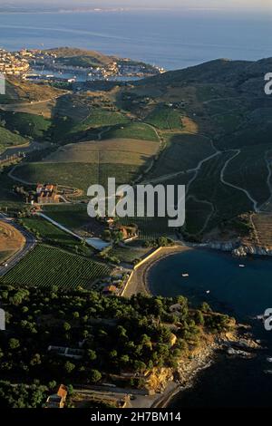 FRANKREICH. PYRENEES ORIENTALES (66). VERMEILLE COAST. LUFTAUFNAHME DES COTEAUX DE BANYULS-SUR-MER. DIE WEINBERGE. PORT-VENDRES IN DER HINTEREN MASSE Stockfoto