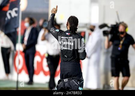 HAMILTON Lewis (gbr), Mercedes AMG F1 GP W12 E Performance, Portrait während des Formel 1 Ooredoo Qatar Grand Prix 2021, 20th Lauf der FIA Formel 1 Weltmeisterschaft 2021 vom 19. Bis 21. November 2021 auf dem Losail International Circuit, in Lusail, Katar - Foto: Dppi/DPPI/LiveMedia Stockfoto