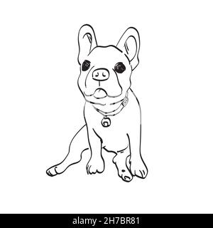 Puppy französisch Bulldog Illustration Vektor isoliert auf weißem Hintergrund Linie Kunst. Stock Vektor