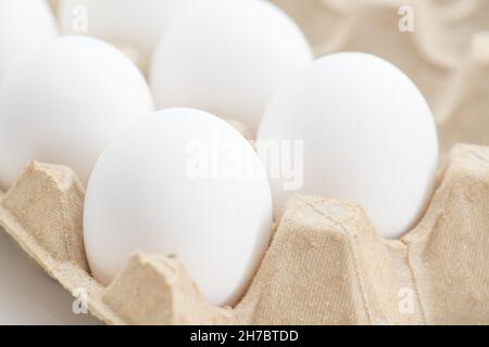 Frischeier in Karton auf weißem Hintergrund Stockfoto