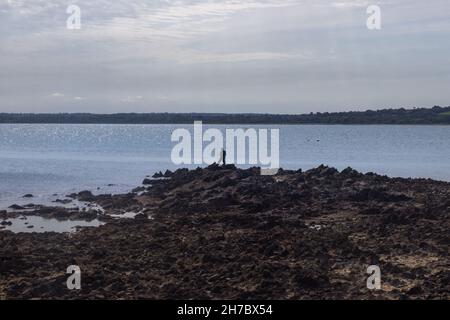 der Fischer von solitude fischt im Meer von saint vaast la hougue in der Normandie, Frankreich. Angler steht auf unwegsamem Felsengelände. Stockfoto