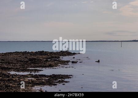 der Fischer von solitude fischt im Meer von saint vaast la hougue in der Normandie, Frankreich. Angler steht auf unwegsamem Felsengelände. Stockfoto