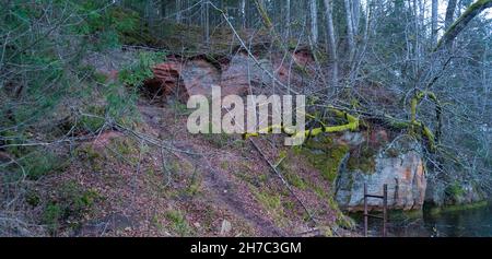 Die 40 M langen Ziedleju Klippen bestehen aus den rötlichen Sandsteinen von Gauja Suite. Ein Sandsteinausbiss am Ufer des Flusses Gauja, Incukalns, Lettland. Stockfoto