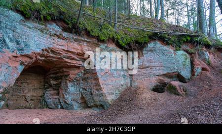 Die 40 M langen Ziedleju Klippen bestehen aus den rötlichen Sandsteinen von Gauja Suite. Ein Sandsteinausbiss am Ufer des Flusses Gauja, Incukalns, Lettland. Stockfoto