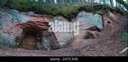 Die 40 m langen Ziedleju Klippen bestehen aus den rötlichen Sandsteinen von Gauja Suite. Ein Sandsteinausbiss am Ufer des Flusses Gauja, Incukalns, Lettland. Stockfoto