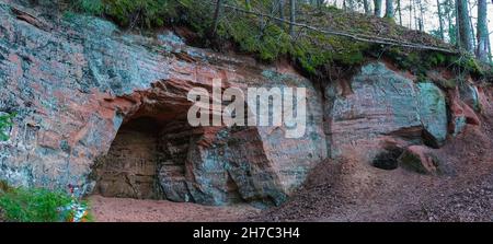 Die 40 m langen Ziedleju Klippen bestehen aus den rötlichen Sandsteinen von Gauja Suite. Ein Sandsteinausbiss am Ufer des Flusses Gauja, Incukalns, Lettland. Stockfoto