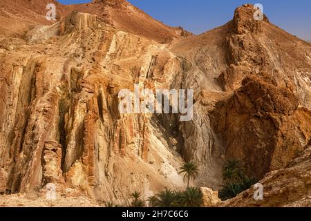 Blick auf die Bergoase von Shebika, mitten in der Sahara, Tunesien, Afrika Stockfoto