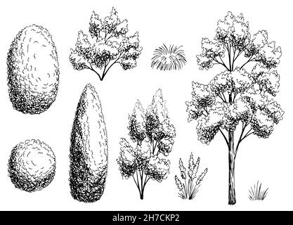 Pflanzenset Grafik Garten Busch schwarz weiß Seitenansicht isoliert Illustrationsvektor Stock Vektor