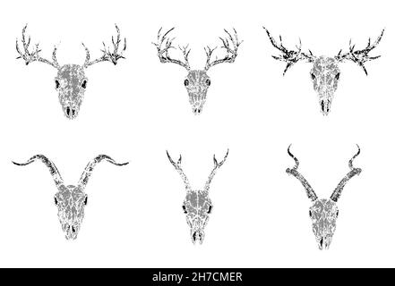 Vektor-Set von Silhouetten Schädel von gehörnten Tieren: Antilope, Hirsch und Ziege auf weißem Hintergrund. Grunge-Stil. Monochromes Bild. Stock Vektor