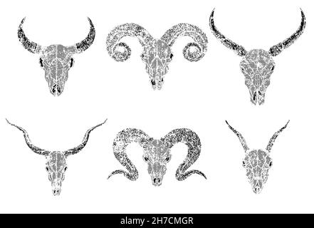 Vektor-Set von Silhouetten Schädel von gehörnten Tieren wilden Büffel, Stier, Ziegen und Widder auf weißem Hintergrund. Grunge-Stil. Monochromes Bild. Stock Vektor