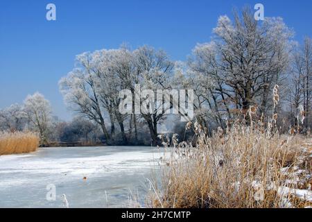 Winterlandschaft in der Amper Hochwasserebene bei Moosburg, Deutschland, Bayern Stockfoto