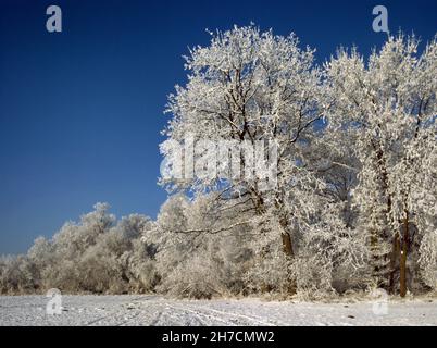 Winterlandschaft in der Amper Hochwasserebene bei Moosburg, Deutschland, Bayern Stockfoto