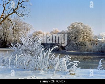 Winterlandschaft in der Amper Hochwasserebene bei Moosburg, Deutschland, Bayern Stockfoto