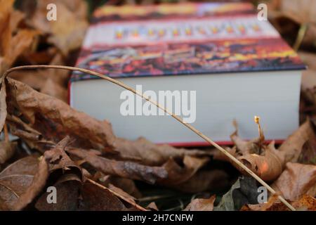 Ein Buch auf dem Hintergrund der Blätter an einem Herbsttag im Wald. Bücher zum Lesen. Die Farben des Herbstes in einem Buch Stockfoto