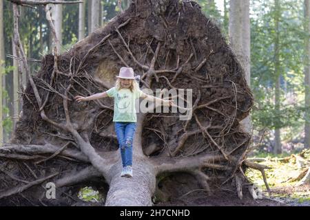 Kleines Mädchen balanciert vor einer riesigen Wurzelplatte einer Fichte, die von einem Hurrikan gefällt wurde, Deutschland, Bayern, Wildpark Poing Stockfoto