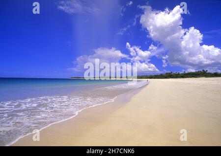 Traumstrand in West-Samoa, Samoa Stockfoto