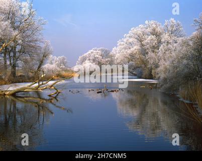 Winterlandschaft in der Amper Hochwasserebene bei Moosburg, Deutschland, Bayern Stockfoto