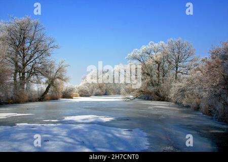 Winterlandschaft in der Amper Hochwasserebene bei Moosburg, Deutschland, Bayern Stockfoto