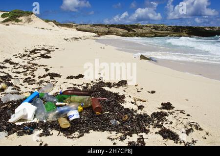 Strandflotsam mit Ausschlag am Strand, Niederländische Antillen, Bonaire Stockfoto