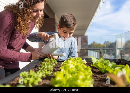 Mutter und Sohn gießen Gemüse in ihrem Stadtgarten Stockfoto