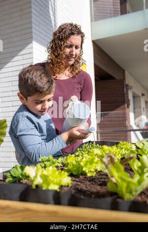 Mutter und Sohn gießen Gemüse in ihrem Stadtgarten Stockfoto