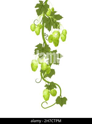 Hop. Ein vertikaler Zweig mit dichten Blättern und lustigen Zapfen. Schlaffe Triebe mit Blättern. Wilde Natur. Flache Illustration. Vektor. Stock Vektor