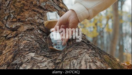 Die Hand einer Frau dreht sich über eine Sanduhr, die in einem herbstlichen Wald steht. Nahaufnahme Stockfoto
