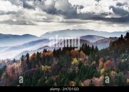 Majestätischer Blick auf die farbenfrohe Herbstlandschaft und dramatische Wolken. Forstwirtschaft, Natur, Jahreszeiten und Wetterkonzepte Stockfoto