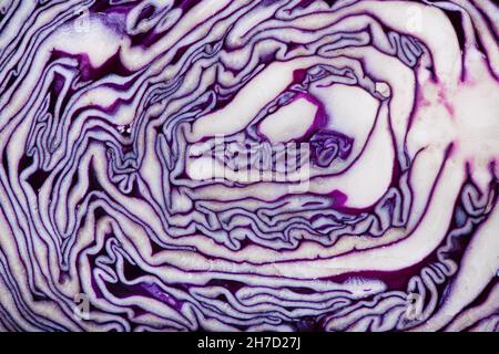 Geschnittene Rotkohl-Nahaufnahme Stockfoto