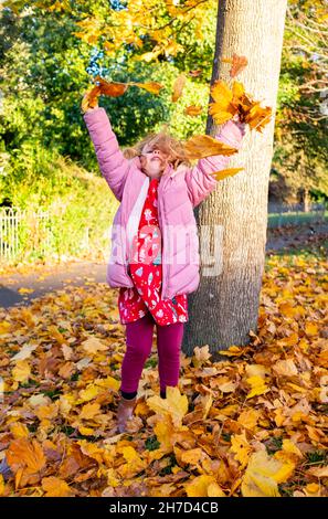 Junges Mädchen 5 Jahre alt spielt zwischen Herbstblättern in einem Park England Großbritannien Stockfoto