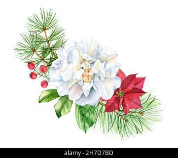 Weihnachtliche Komposition mit weißer Rose, Weihnachtssterne und Kiefernzweigen. Aquarell handbemalter Blumenstrauß für Winterferien, Grußkarten Stockfoto