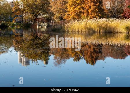 Der Central Park in New York City zeigt wunderschöne Herbstfärbung, USA Stockfoto