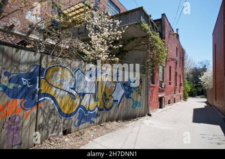 Abstraktes buntes Fragment von Graffiti-Gemälden auf Holzzaun. Street Art Komposition mit Teilen von ungeschriebenen Stockfoto