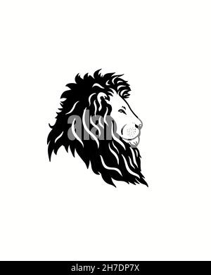 Das Gesicht eines Löwen im Profil. Stockfoto