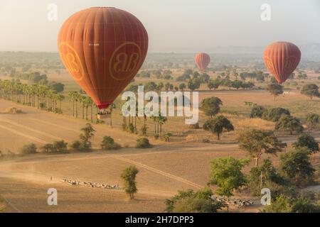 Heißluftballon fliegt über Bagan Stockfoto