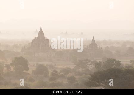 Heißluftballons fliegen über die Tempel von Bagan Stockfoto