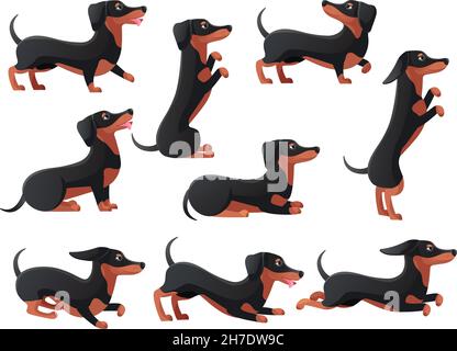 Dauschund posiert. Cartoon Dackel und Hunde Figuren Pose, Pedigree Rasse Daushunds, Hund Posen, springen und laufen lange Wurst, flache Symbol anständige Vektor-Illustration. Dackel-Cartoon-Design Stock Vektor