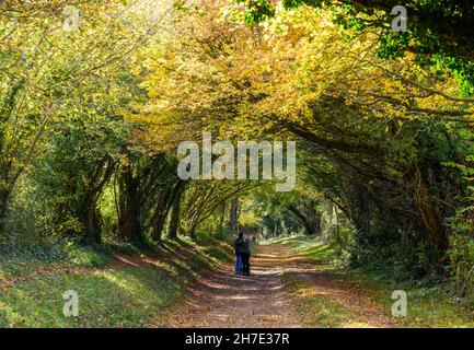 Ein junges Paar, das im Herbst auf dem Weg durch den Halnaker-Baumtunnel steht und die Aussicht bewundert. West Sussex, England. Stockfoto